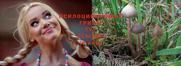 кокс Абдулино