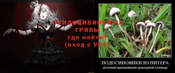 кокс Абдулино