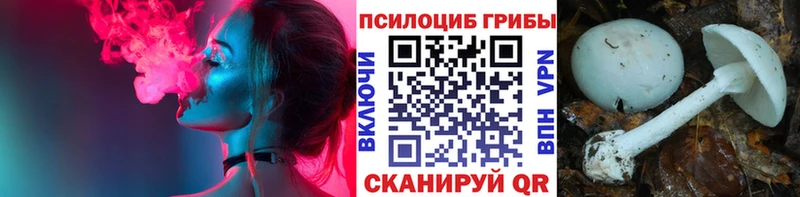 хочу   Чишмы  Псилоцибиновые грибы Magic Shrooms 